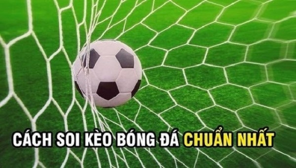 Kinh nghiệm soi kèo 1/2 chuẩn nhất