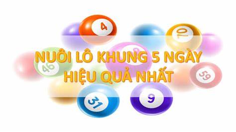 Một số lưu ý trong cách nuôi lô 5 ngày